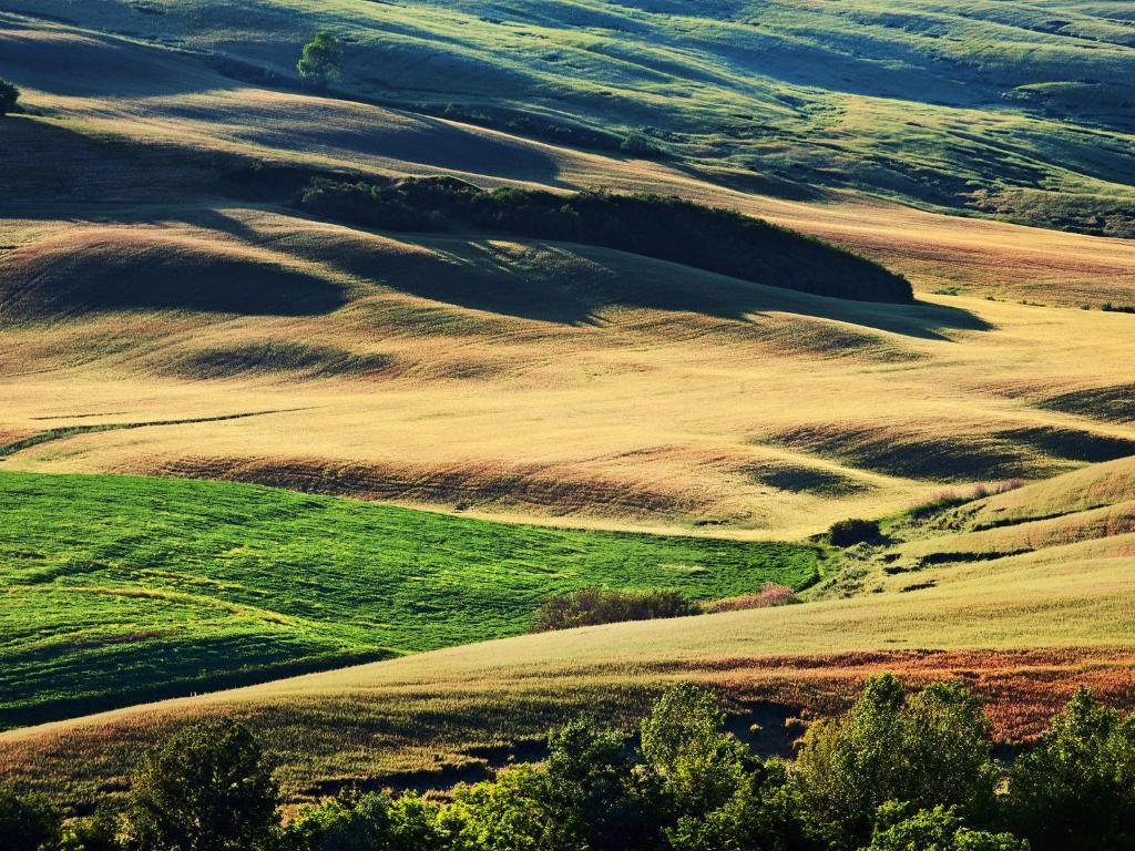 Agriturismo La Buca Di Bellugi San Quirico d'Orcia Bagian luar foto