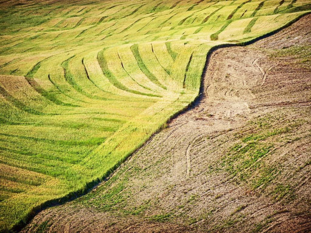 Agriturismo La Buca Di Bellugi San Quirico d'Orcia Bagian luar foto