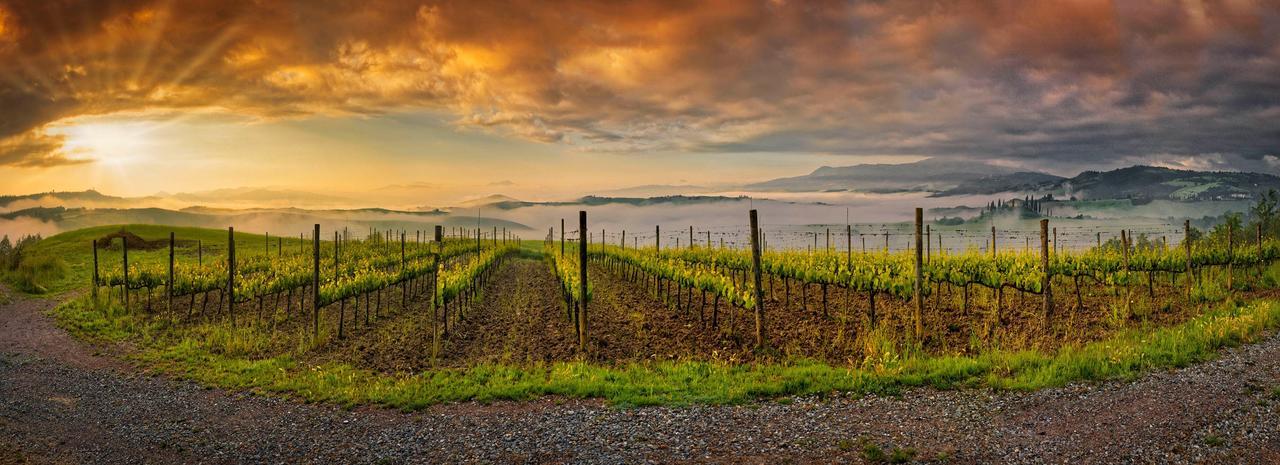 Agriturismo La Buca Di Bellugi San Quirico d'Orcia Bagian luar foto