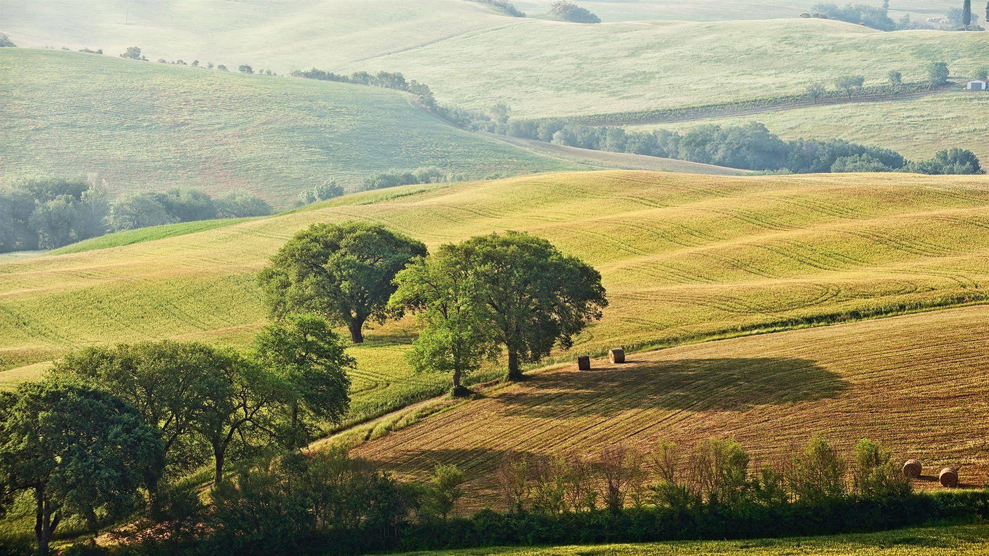Agriturismo La Buca Di Bellugi San Quirico d'Orcia Bagian luar foto