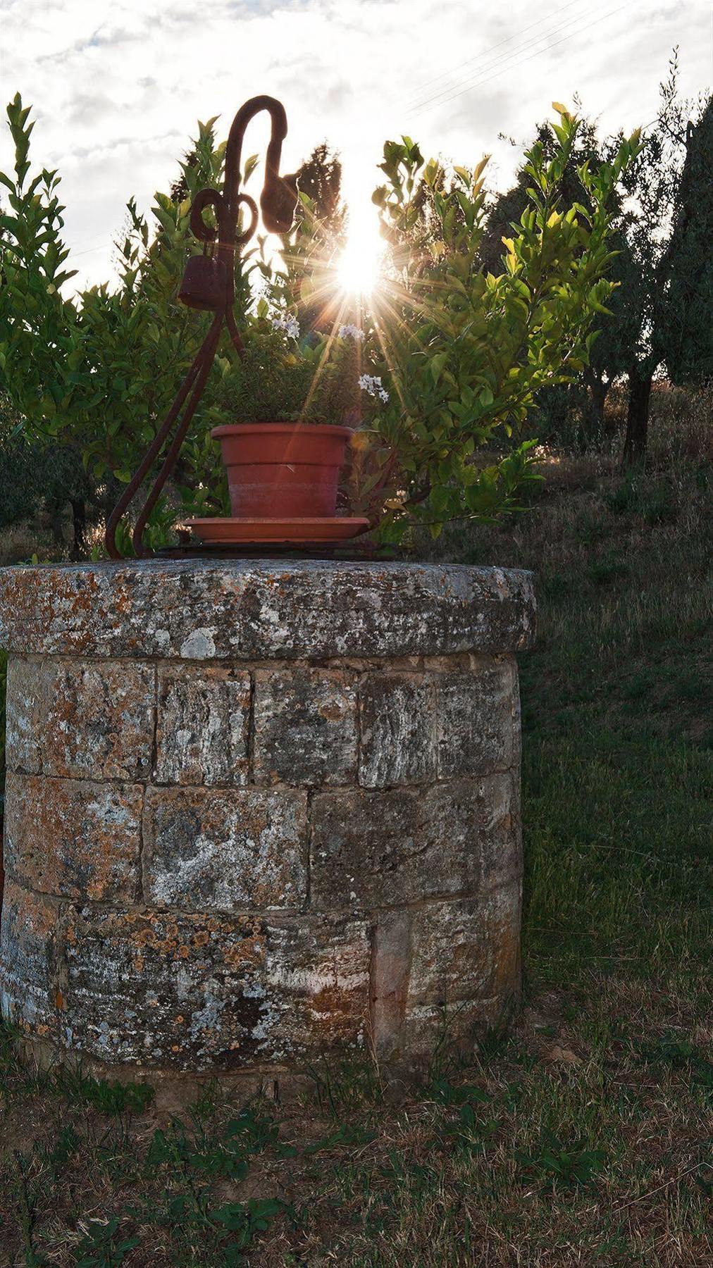 Agriturismo La Buca Di Bellugi San Quirico d'Orcia Bagian luar foto